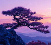 Baum als Symbol f&uuml;r FREIHEIT