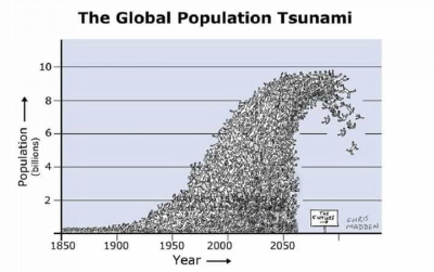Überbevölkerungs-Tsunami